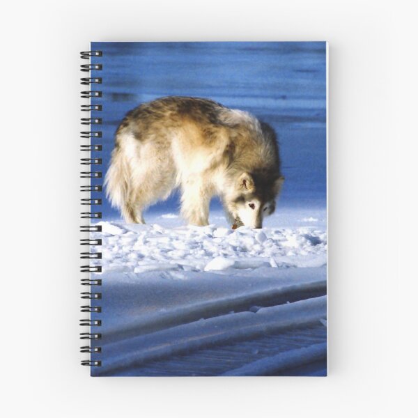 Item preview, Winterwolf designed and sold by Asoka.