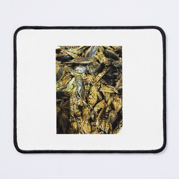Item preview, Lethocerus indicus designed and sold by Aranya555.