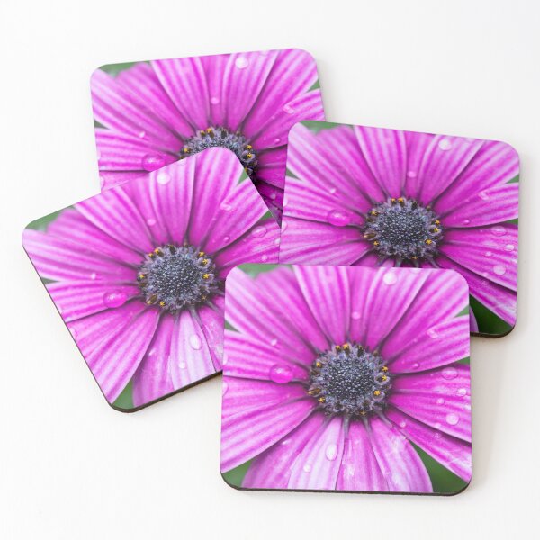 Item preview, Purple Cape Rain Daisy designed and sold by Tanya C  Smith.