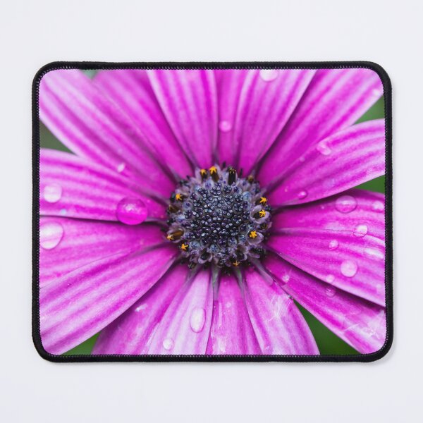 Item preview, Purple Cape Rain Daisy designed and sold by Tanya C  Smith.