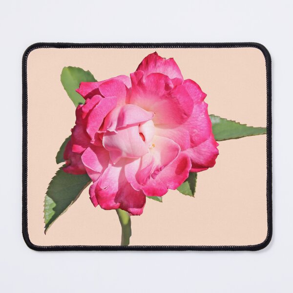 Item preview, Pink Rose designed and sold by STHogan2.