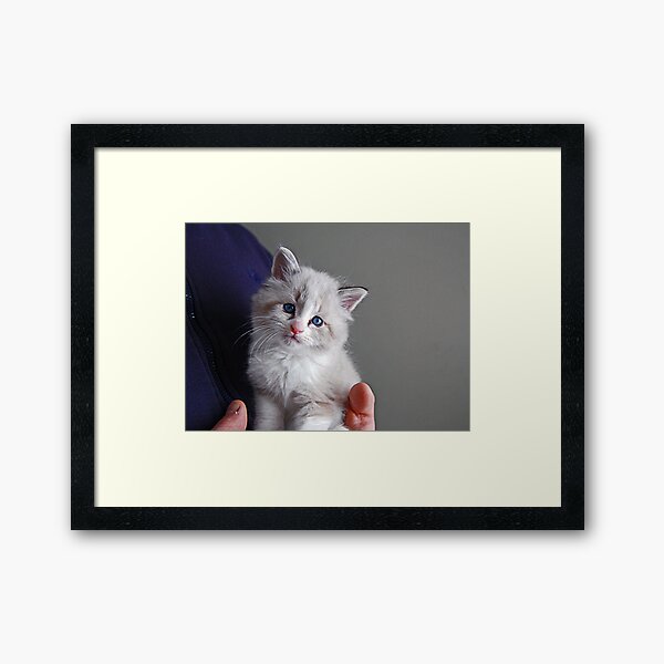 Lost & Found Framed Art Print