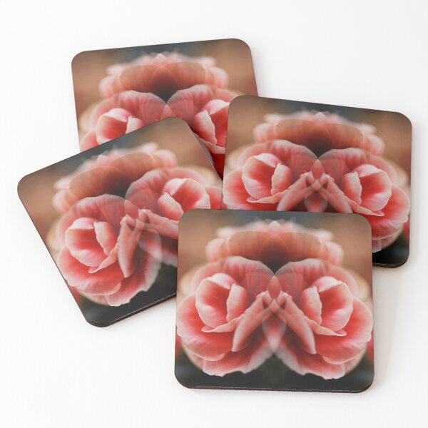 Item preview, Pink, burgundy and white Begonia / Begonias in abstracted symmetry designed and sold by captiveworld.