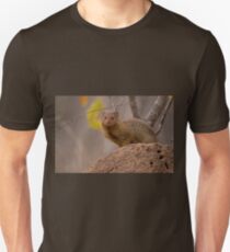 Dwarf mongoose, South Africa Unisex T-Shirt