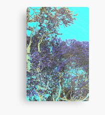The bush Metal Print