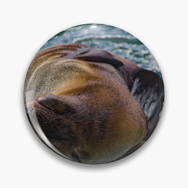 Item preview, Seal relaxing on a boulder designed and sold by Shizenkai.