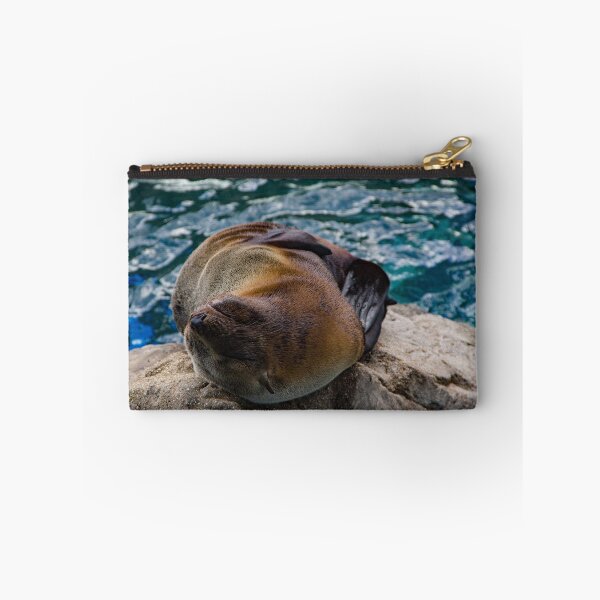 Item preview, Seal relaxing on a boulder designed and sold by Shizenkai.