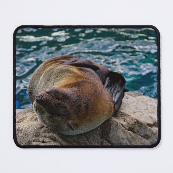 Item preview, Seal relaxing on a boulder designed and sold by Shizenkai.