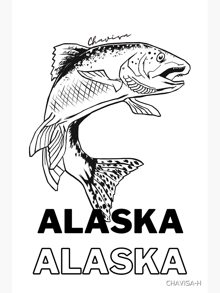 Salmon Whisperer Salmon Fishing Salmon Shirt Alaska Fishing Fishing Gift  Fishing Gifts for Men Father's Day Gift 