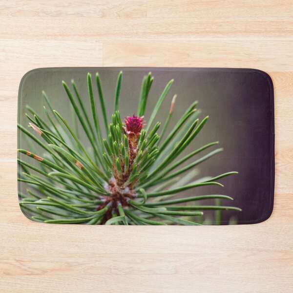 Item preview, Budding pine cone designed and sold by Shizenkai.