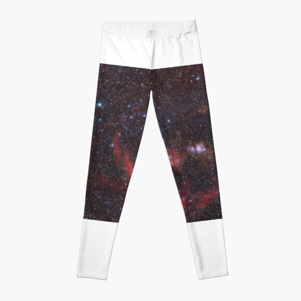 Orion Leggings