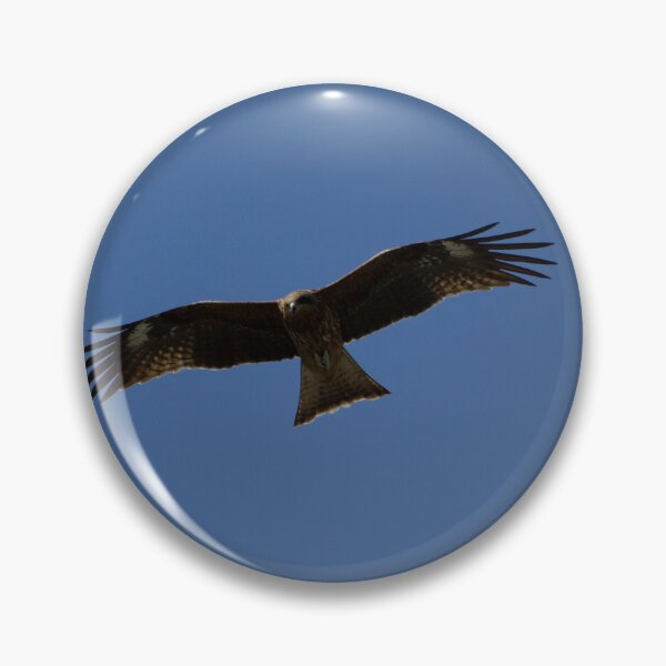 Item preview, Bird of prey in flight designed and sold by Shizenkai.
