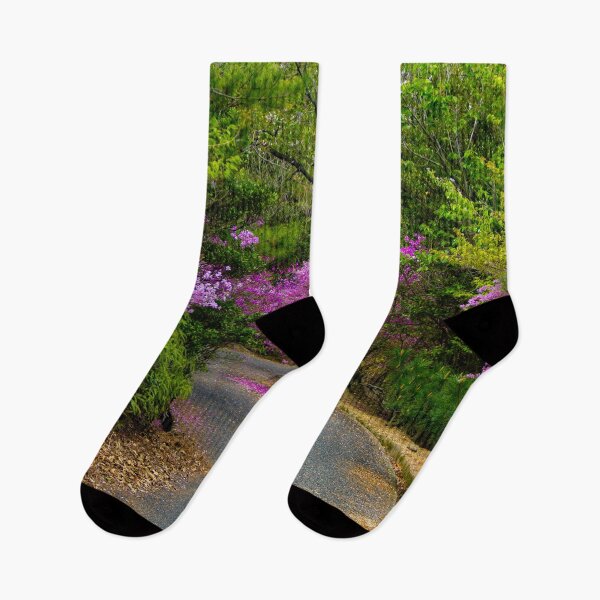 Item preview, Winding path in a park designed and sold by Shizenkai.