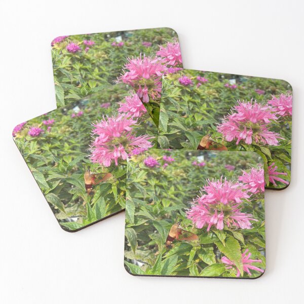 Item preview, Hummingbird Moth  designed and sold by Mishamigo46.