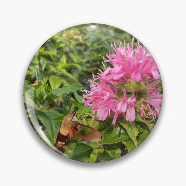 Item preview, Hummingbird Moth  designed and sold by Mishamigo46.