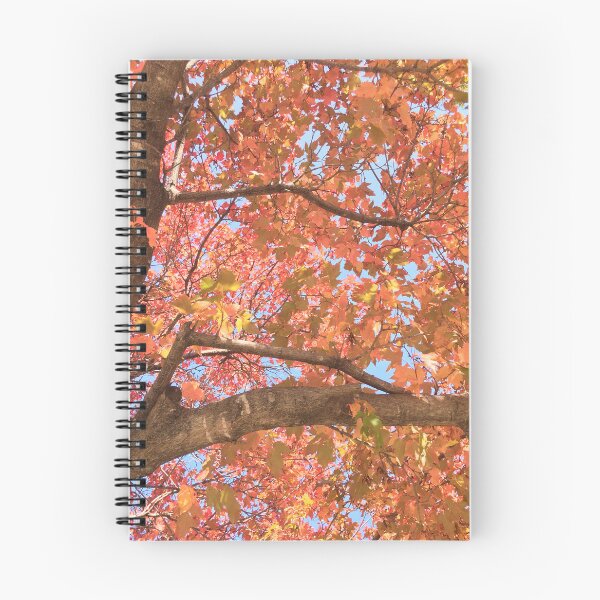 Item preview, Sugar Maple Vibrancy  designed and sold by Mishamigo46.
