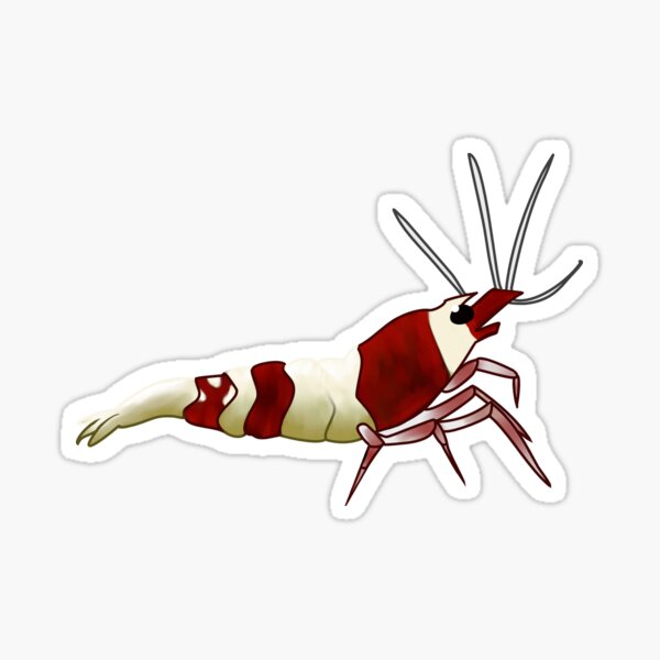 Item preview, Red Crystal Shrimp designed and sold by Iyuda.