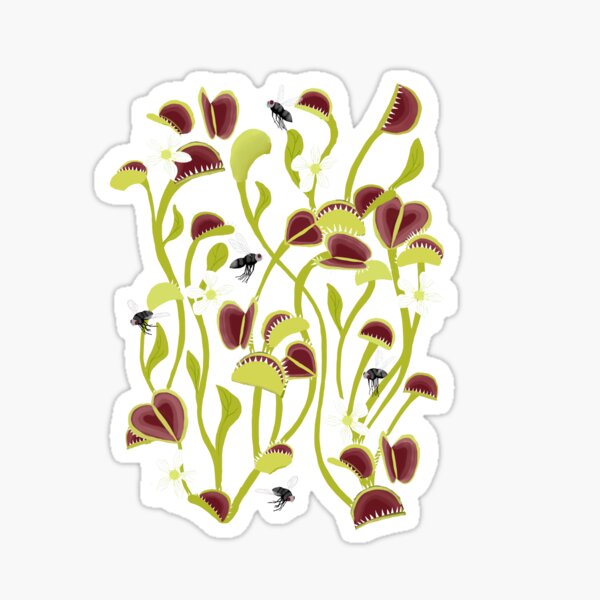 Venus Flytrap Mushroom Gift Wrap – Spooky Cat Press