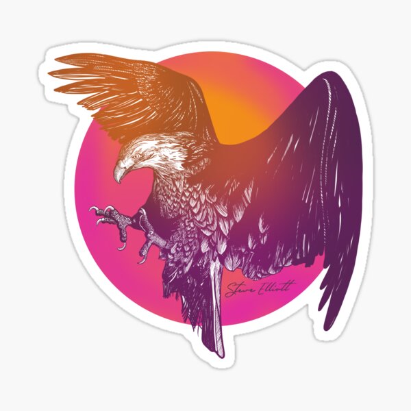 Diving Eagle in the Hot Sun Sticker