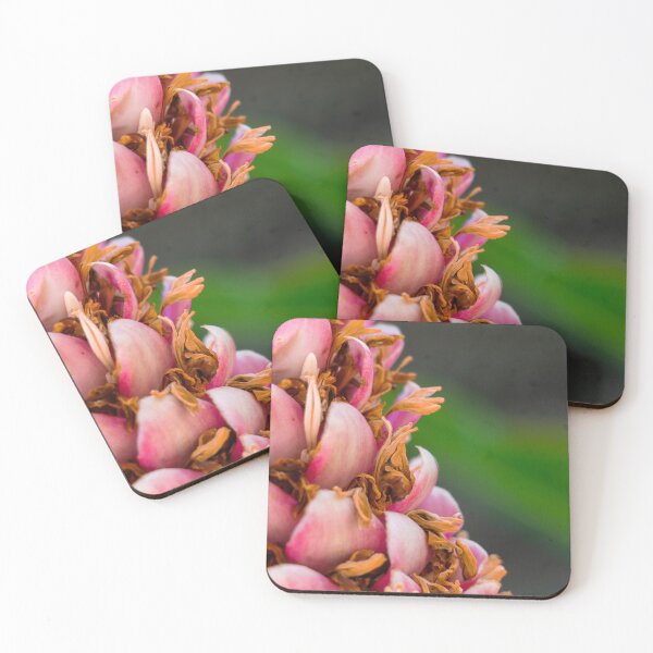 Item preview, Nature's Best 4 designed and sold by Reesenvision.