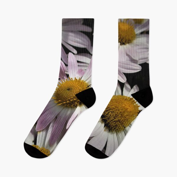 Item preview, Painted Daisies designed and sold by Scott and Mary Schneider art_photography.