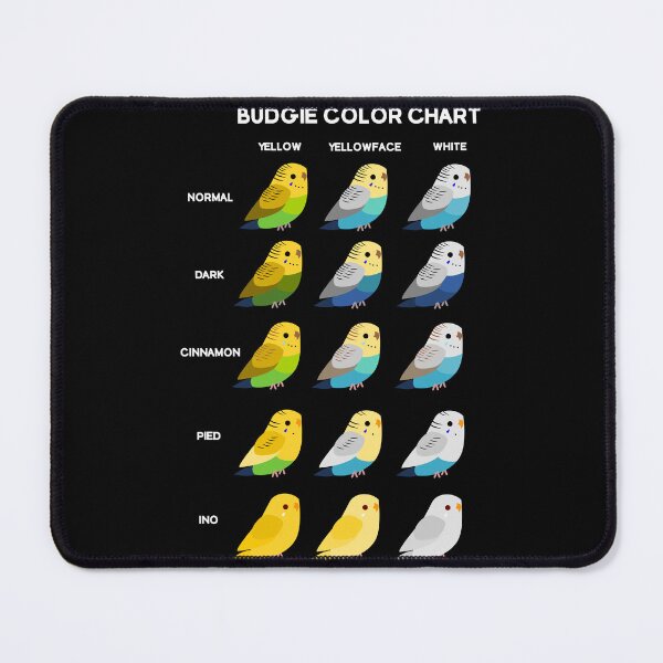 Item preview, Budgie (Parakeet) Color Chart designed and sold by Wrenflight.