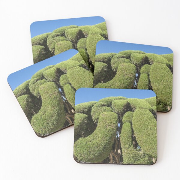 Item preview, Green Boulders - Sensually Sculptured Cypresses designed and sold by Georgia Mizuleva.