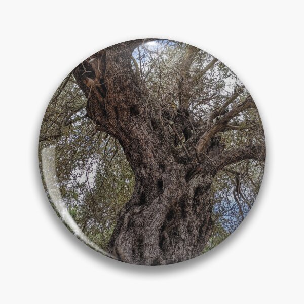 Item preview, Old olive tree  designed and sold by yul4ik80.