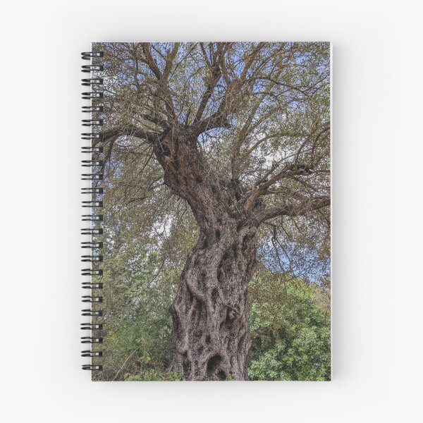 Item preview, Old olive tree  designed and sold by yul4ik80.
