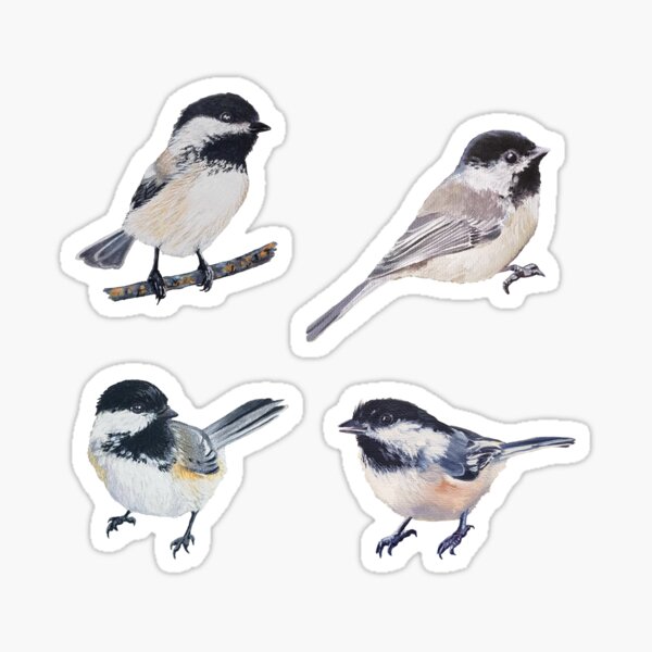 Item preview, Chickadee Set 2 designed and sold by Emily Bickell.