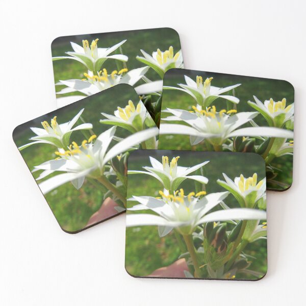 Item preview, 15 00142 0 photo designed and sold by crescenti.