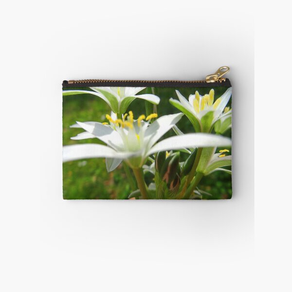 Item preview, 15 00142 0 photo designed and sold by crescenti.