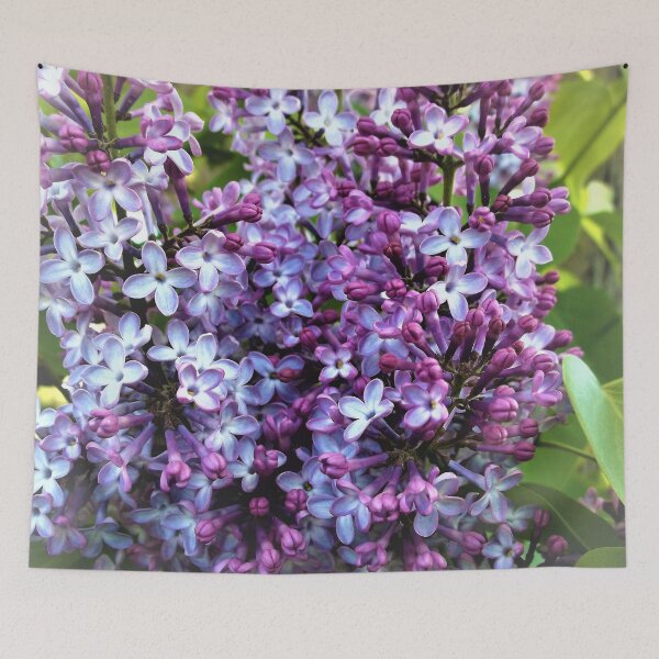 Item preview, Lilacs (from E and J) designed and sold by Scott and Mary Schneider art_photography.