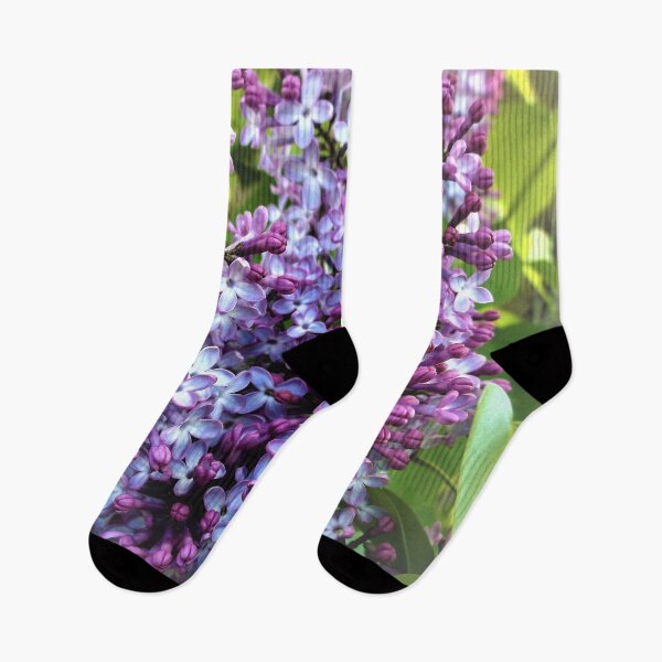Item preview, Lilacs (from E and J) designed and sold by Scott and Mary Schneider art_photography.