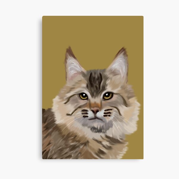 Chat Bobcat américain Impression sur toile