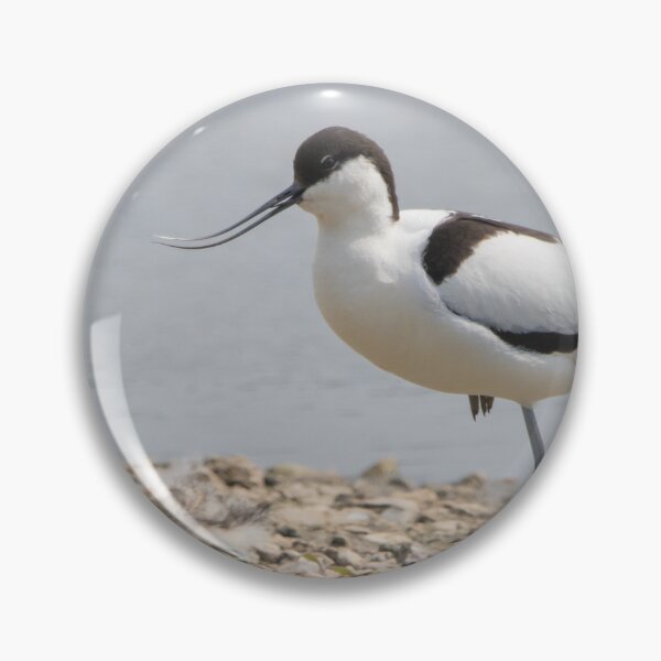 Item preview, Avocet designed and sold by LaurenTucker.