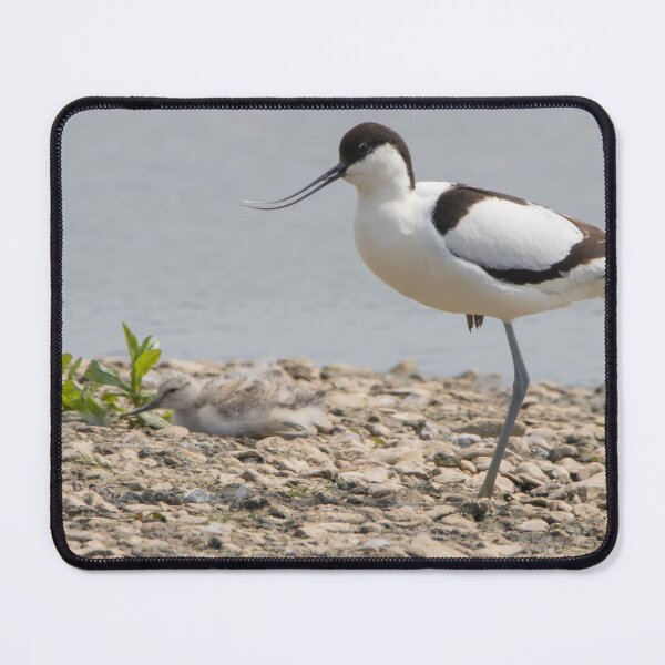 Item preview, Avocet designed and sold by LaurenTucker.
