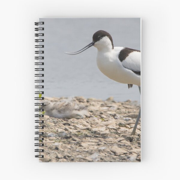 Item preview, Avocet designed and sold by LaurenTucker.