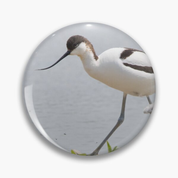 Item preview, Avocet designed and sold by LaurenTucker.