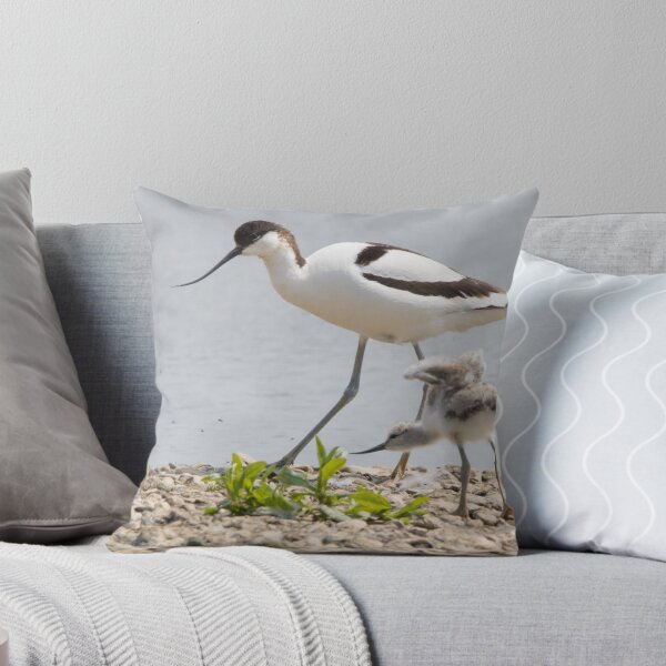 Item preview, Avocet designed and sold by LaurenTucker.