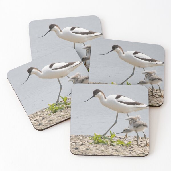 Item preview, Avocet designed and sold by LaurenTucker.