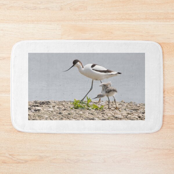 Item preview, Avocet designed and sold by LaurenTucker.