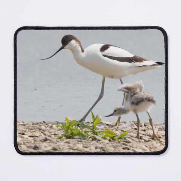 Item preview, Avocet designed and sold by LaurenTucker.