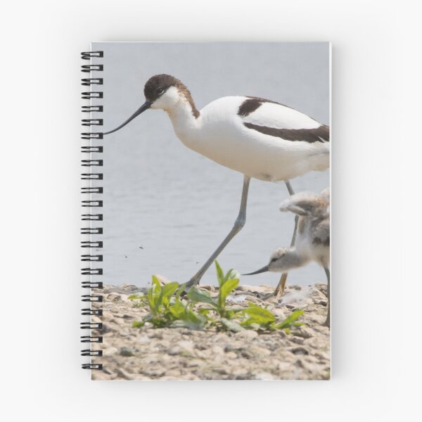Item preview, Avocet designed and sold by LaurenTucker.