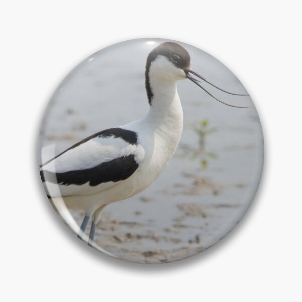 Item preview, Avocet designed and sold by LaurenTucker.