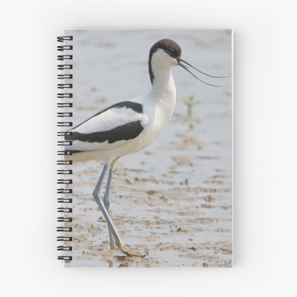Item preview, Avocet designed and sold by LaurenTucker.