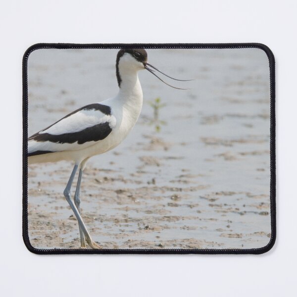 Item preview, Avocet designed and sold by LaurenTucker.