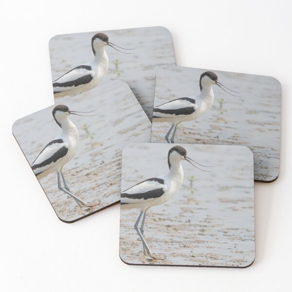 Item preview, Avocet designed and sold by LaurenTucker.