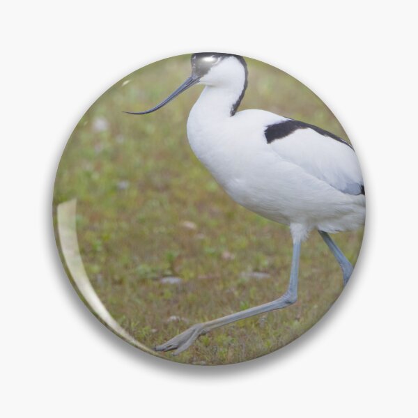 Item preview, Avocet designed and sold by LaurenTucker.