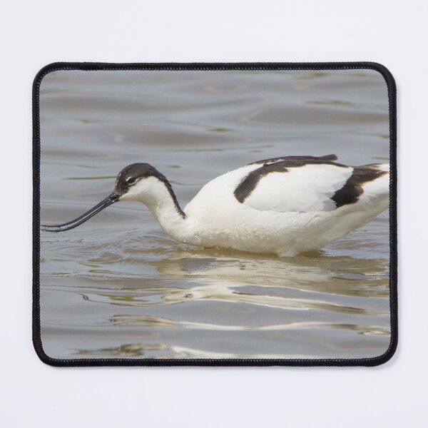 Item preview, Avocet designed and sold by LaurenTucker.